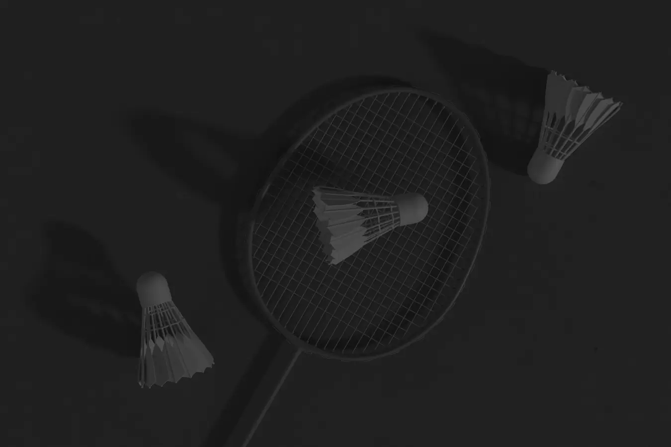 Badminton vs. Padel: Which is More Fun?